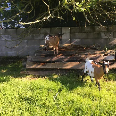 Ak-55 Rural House Villaviciosa (Asturias)