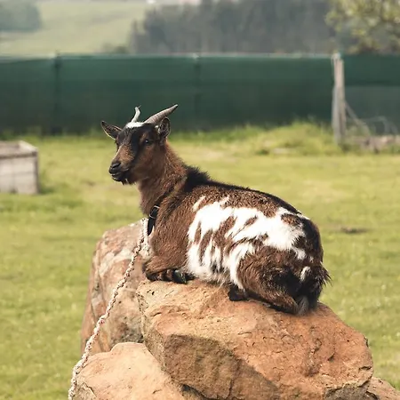 Εξοχικό σπίτι Ak-55 Rural House