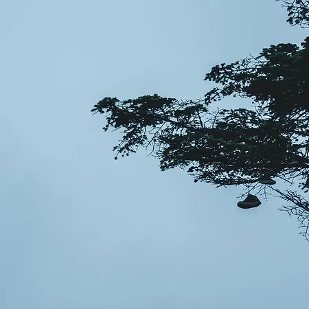 Εξοχικό σπίτι Ak-55 Rural House