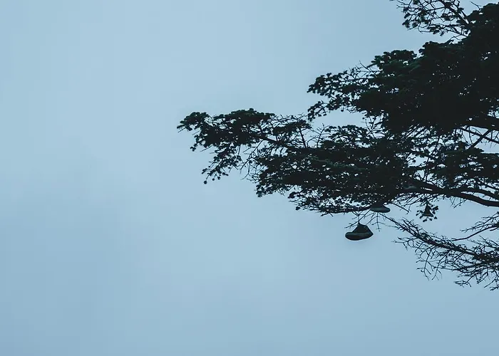 Casa rural Ak-55 Rural House