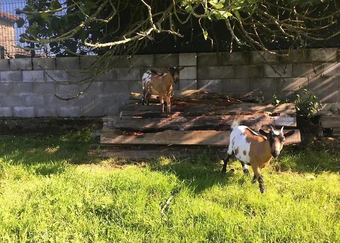 Ak-55 Rural House Villaviciosa (Asturias)