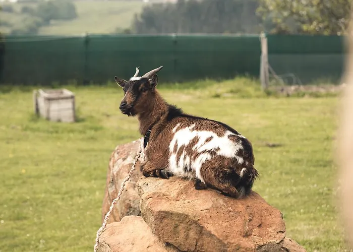 Landhaus Ak-55 Rural House